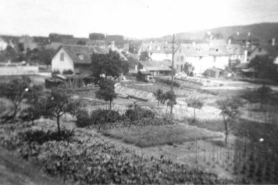 Lehenmattgaertnereien