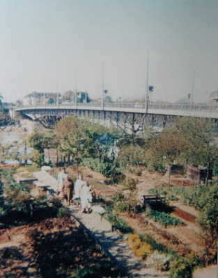 Gemuesegaerten und die Albanbruecke